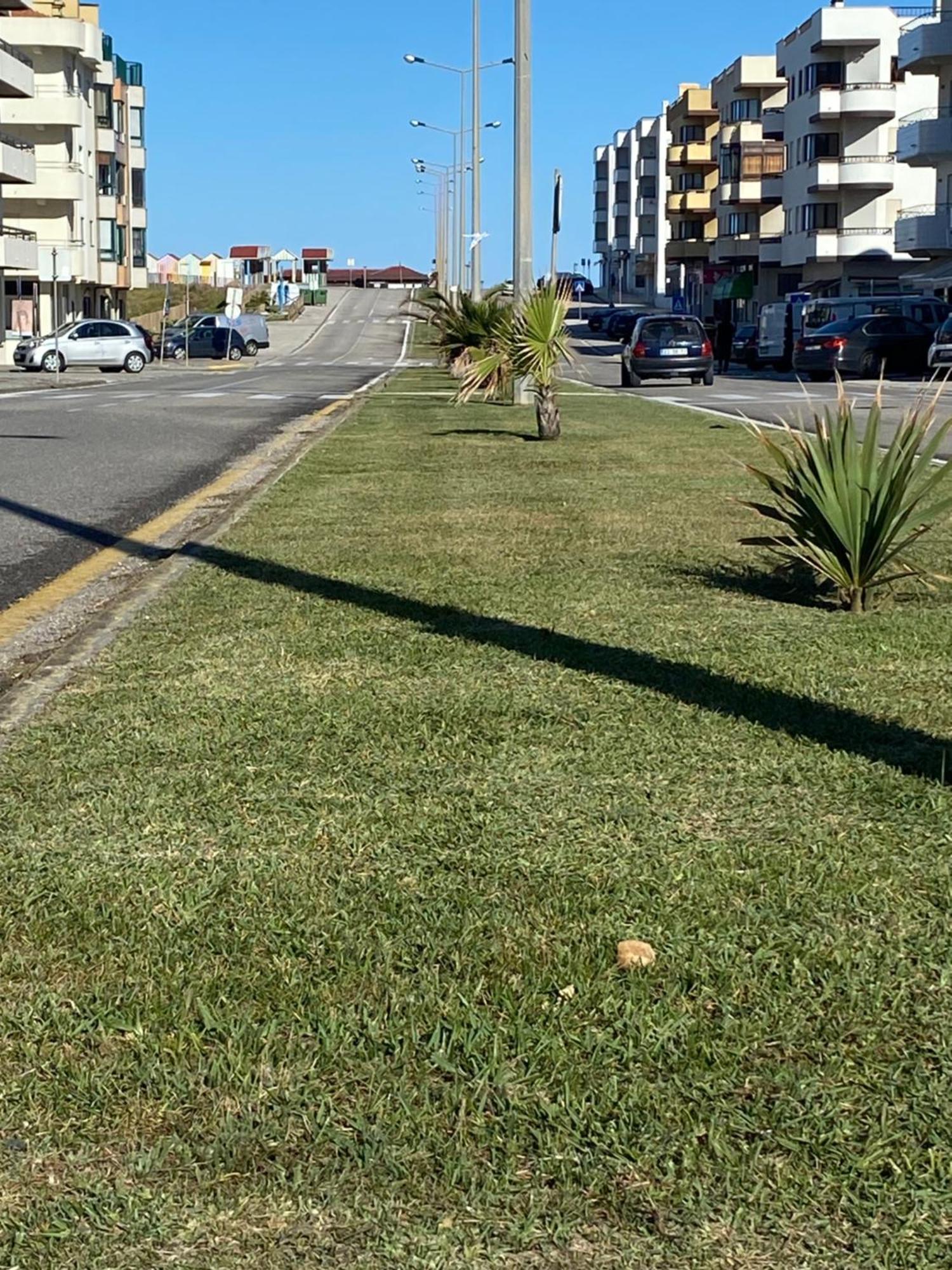 Ferienwohnung Apartamento Frente Mar Vieira de Leiria Exterior foto